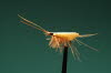 helle Caddis