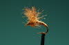 CDC-Emerger