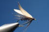 Schmei�fliege