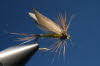 Greenwells Fliege