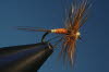 �schenfliege (1)